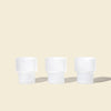Flower Pots Ashtray Set